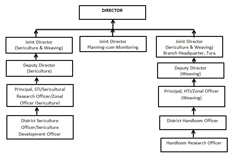 Organisational chart of the Directorate of Sericulture and Weaving (a text version is linked below)